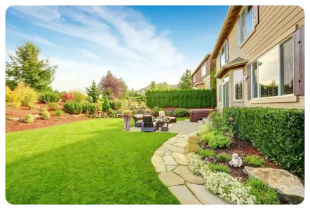healthy lawn