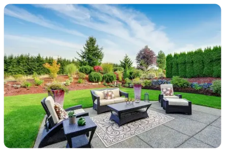 healthy green grass
