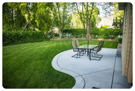 healthy lawn