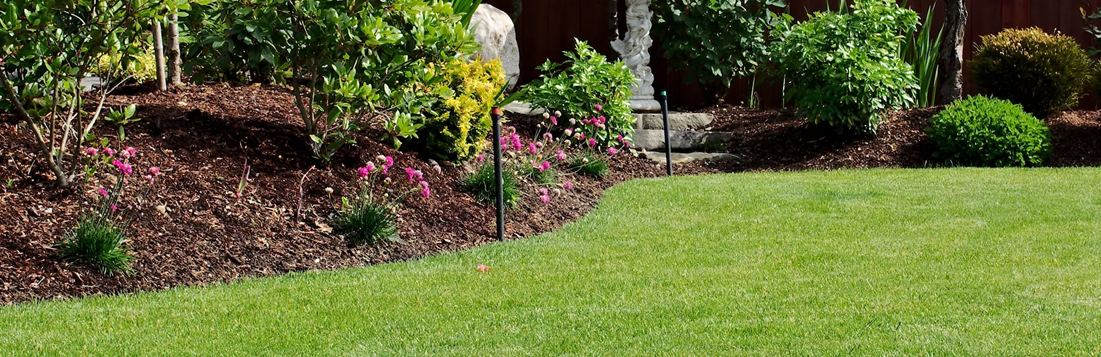 lawn