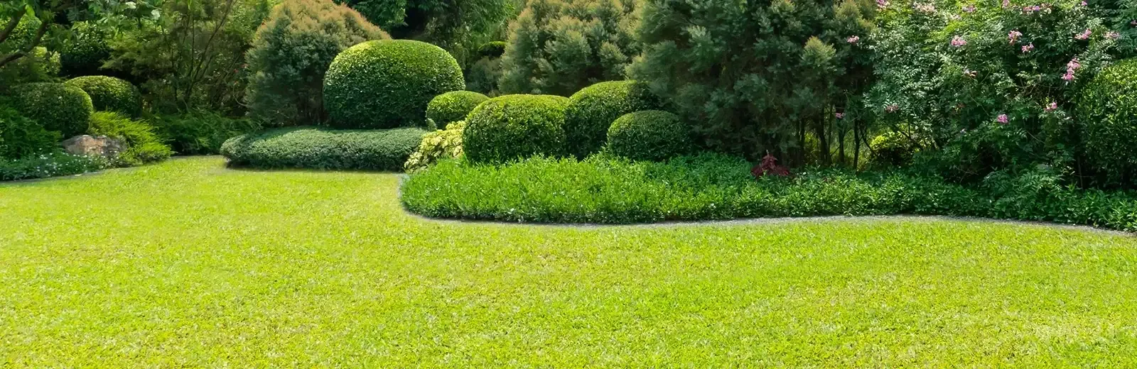 clean, well-trimmed shrubs and grass