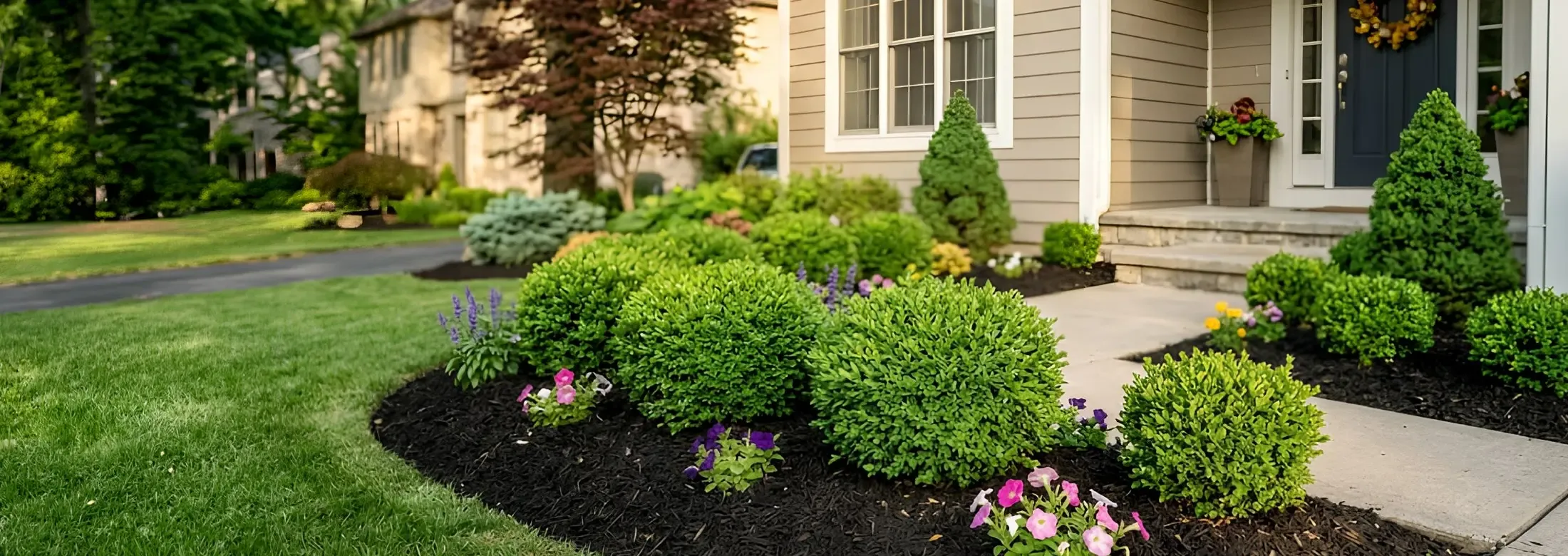 well maintained trees and shrubs