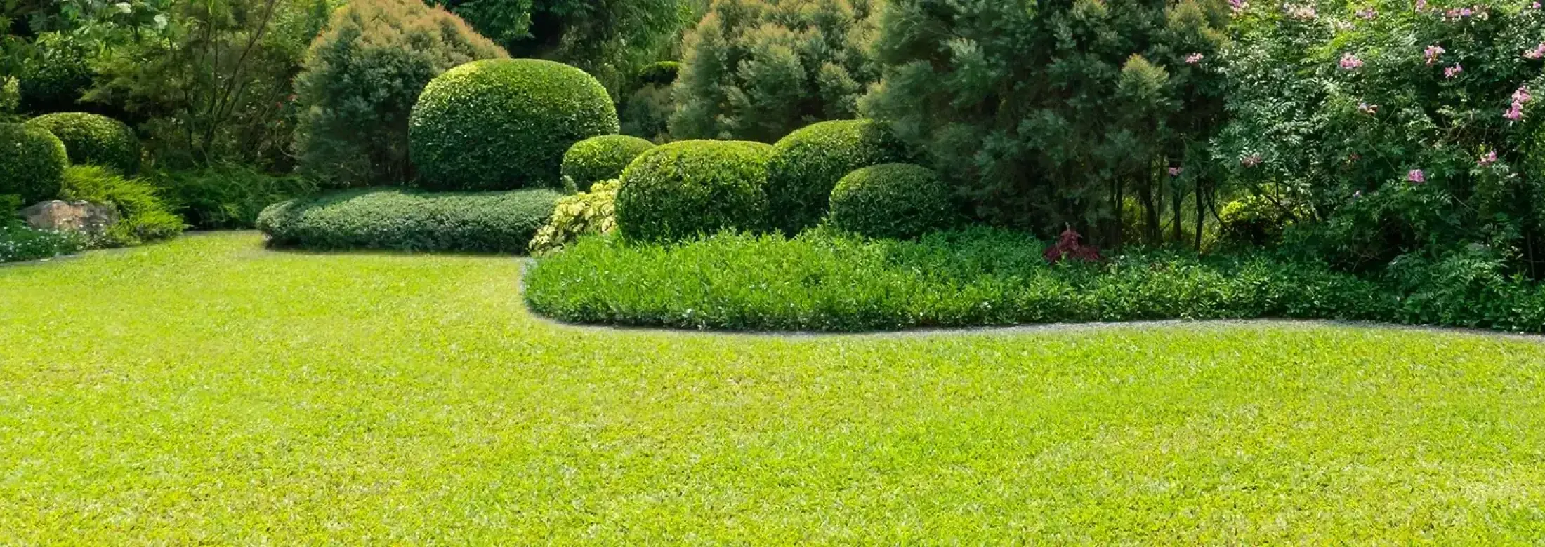 clean, well-trimmed shrubs and grass