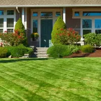 lawn-care-services