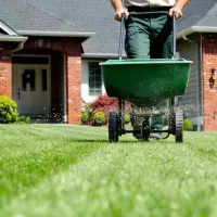 technician fertilizing lawn