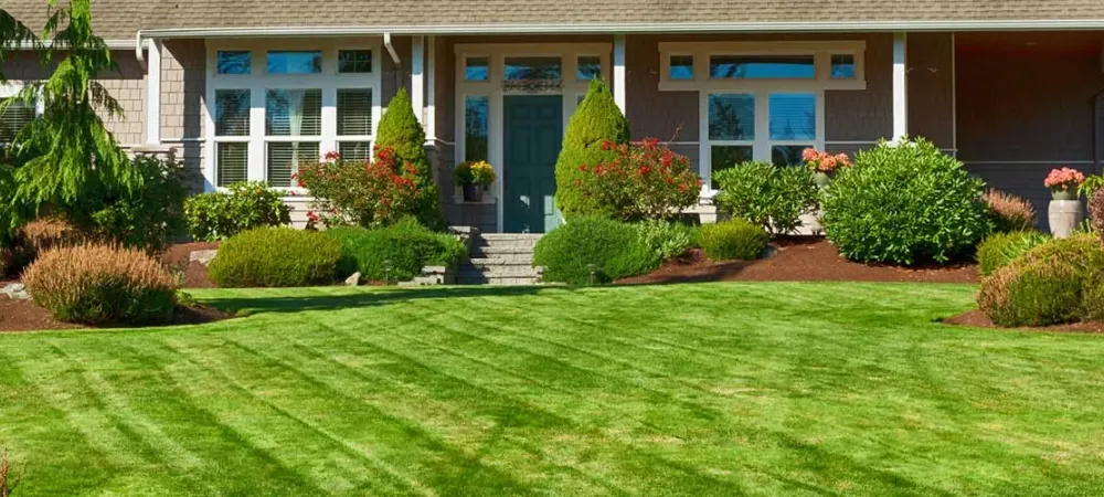 lawn-care-services