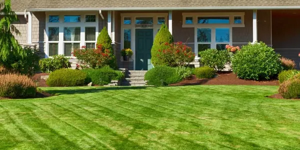 lawn-care-services