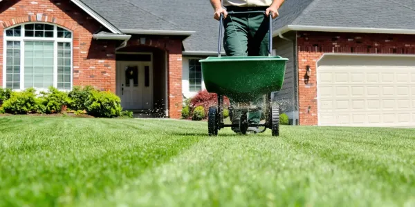 technician fertilizing lawn