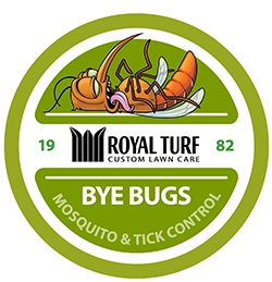 bye bugs