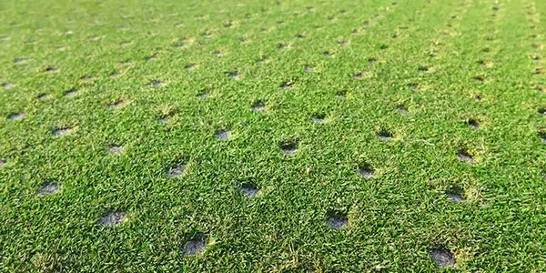 A properly aerated lawn by the experts at Royal TUrf