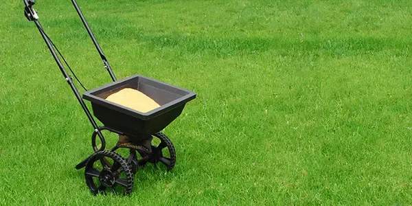 Premier lawn fertilization service provided by Royal Turf